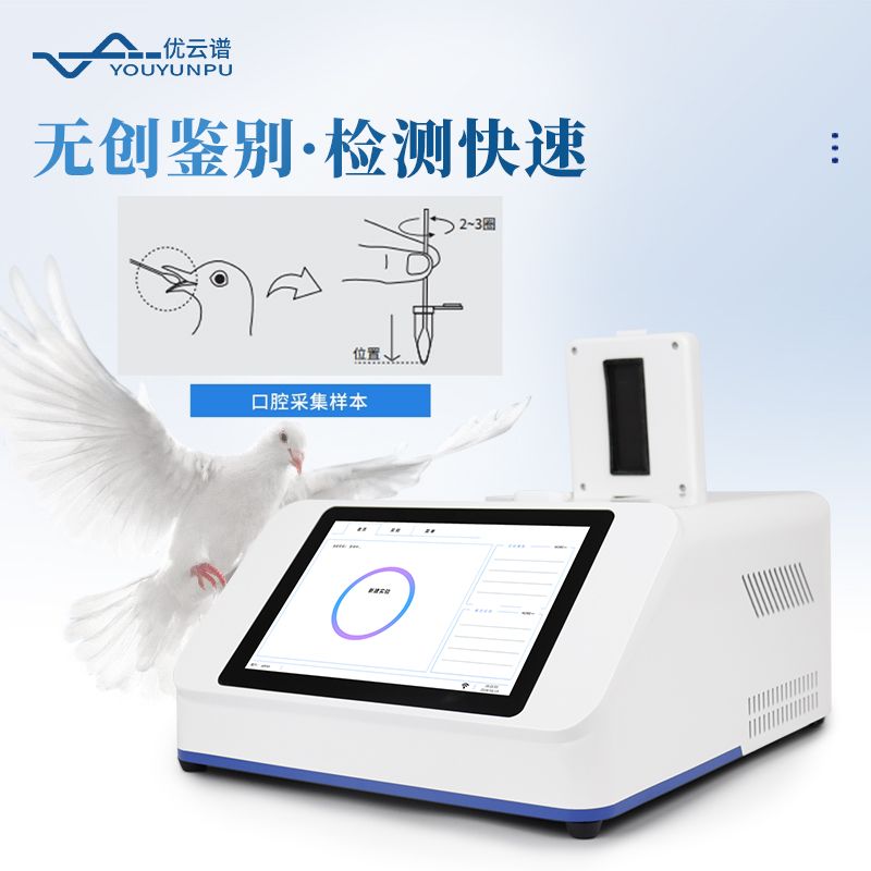 鸚鵡性別檢測(cè)儀